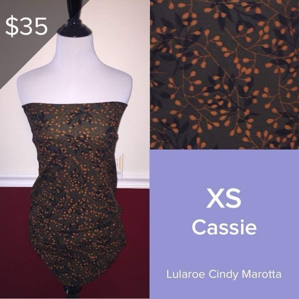 Lularoe Cassie Skirt